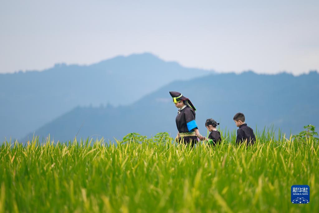 大富豪单机版